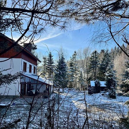 Sowia Enklawa Vila Ludwikowice Kłodzkie Exterior foto