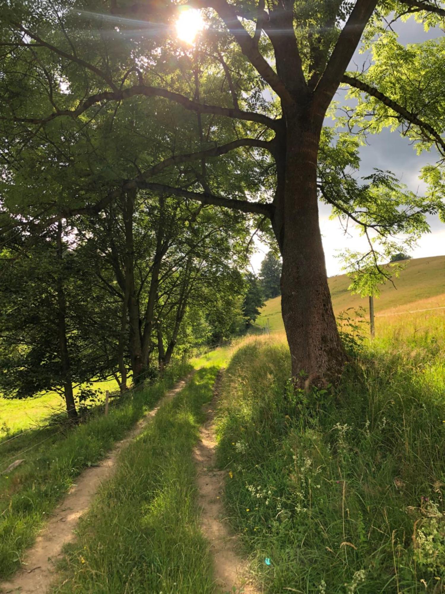 Sowia Enklawa Vila Ludwikowice Kłodzkie Exterior foto