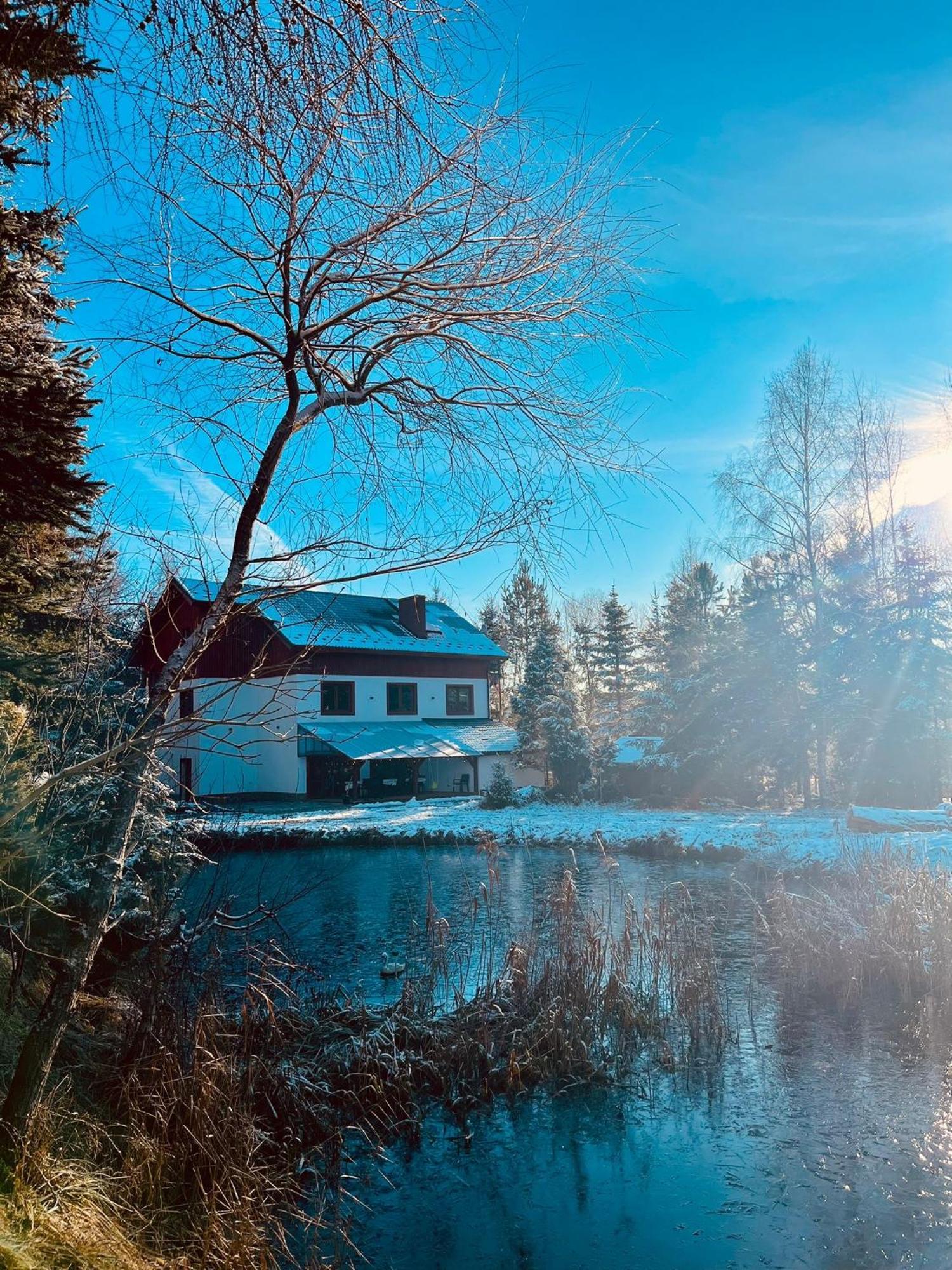 Sowia Enklawa Vila Ludwikowice Kłodzkie Exterior foto